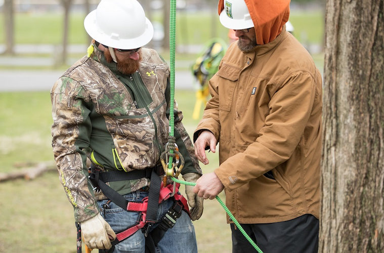 Inspections in accident and injury prevention