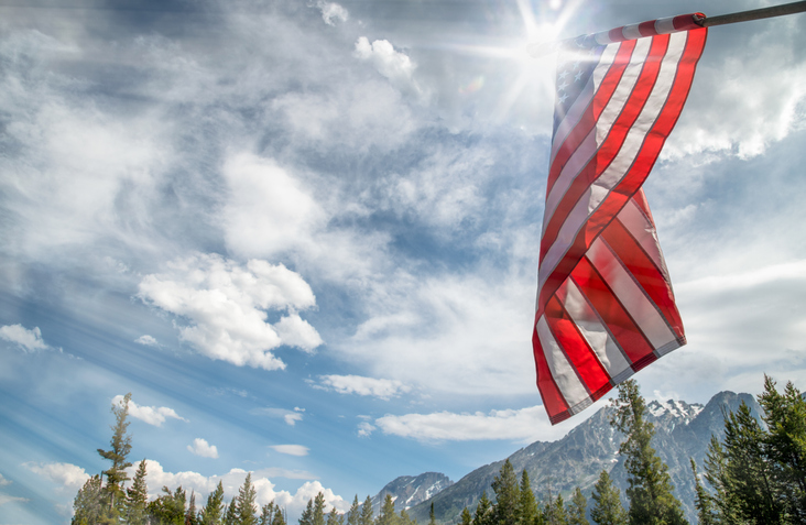 veterans day