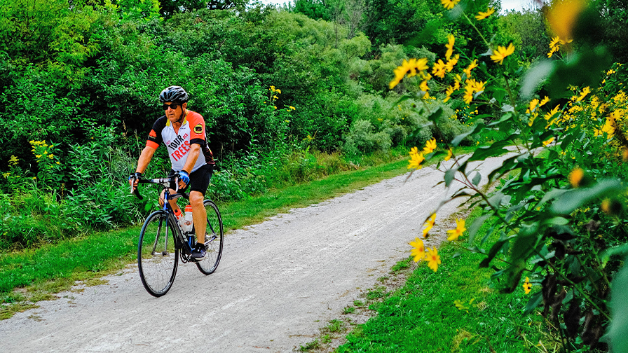 Tour des Trees