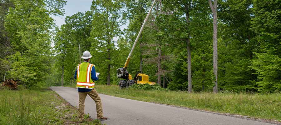 A worker wearing a white hardhat and high-vis vest stands in front of a tree crew to conduct audits and assessments.