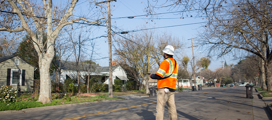 A man wearing an orange high-vis vest and white hardhat standing in the street identifying tree species.