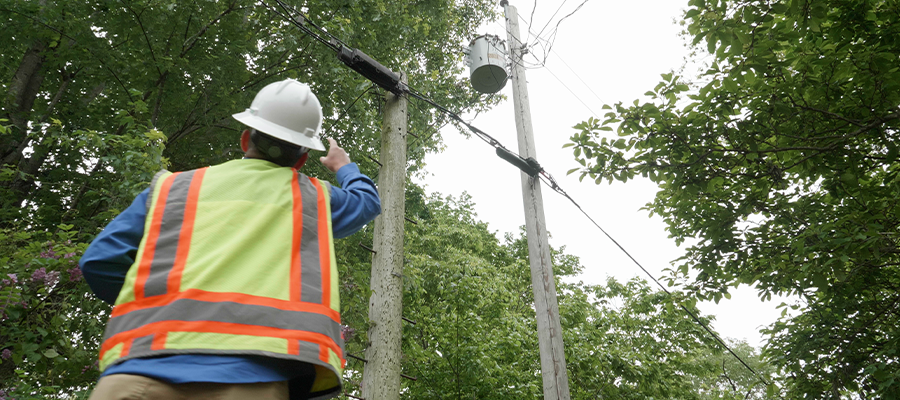 The back of a man wearing a high-vis vest and white hard hat pointing at a utility pole and trees to represent our power grid’s safety and reliability.