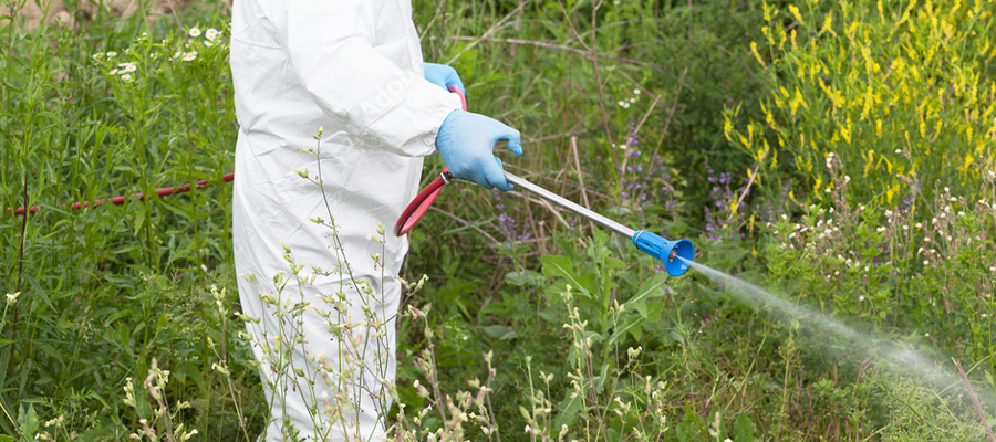 Ensure herbicide safety by choosing the right herbicide, applying it correctly, and protecting health and the environment.