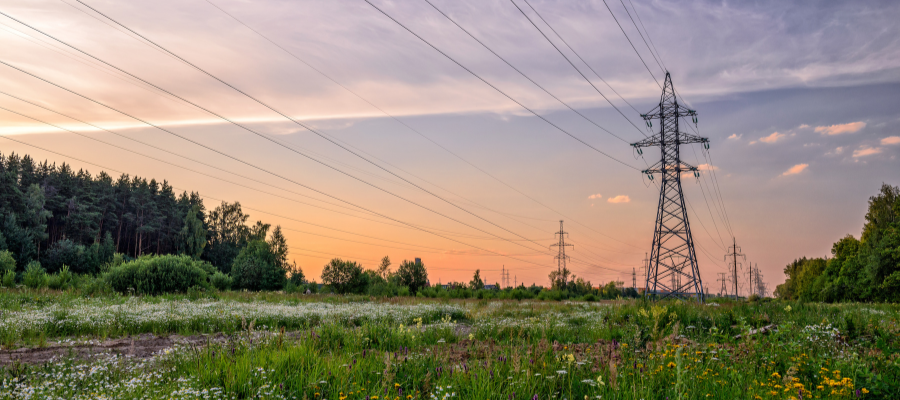 Utility right-of-way demonstrating holistic resource management through sustainable vegetation and ecosystem stewardship