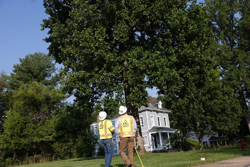vegetation management specialist