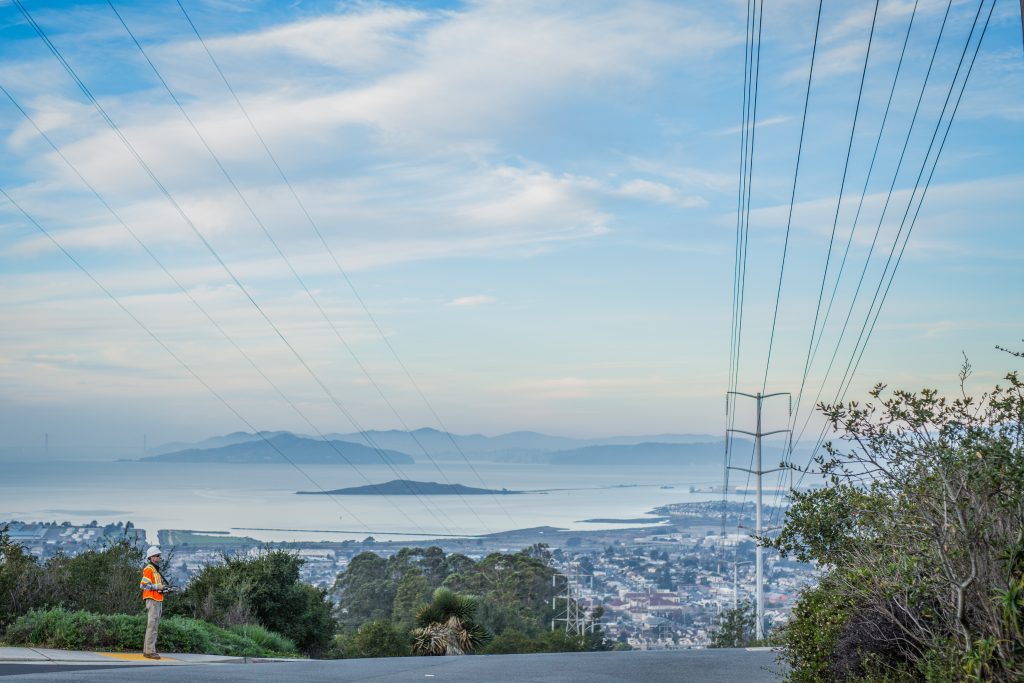 The ACRT team brings the full strength of ACRT's expertise and independence to the unique vegetation management challenges of California.